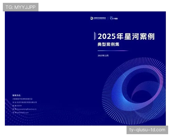 帕尔默：数据高效背后是体系适配还是个人能力驱动？