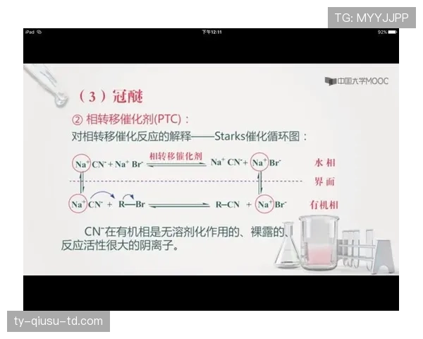 伊涅斯塔与贝尔纳多进攻穿插中的结构转移机制分析